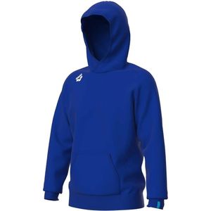 Hoodie Arena Team Panel