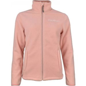 Damesfleece Peak Mountain Aspadon