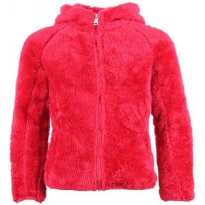 Meisjesfleece Peak Mountain