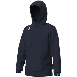 Hoodie Arena Team Panel