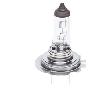 BOSCH Autolampen VW,AUDI,FORD 1 987 302 091 Gloeilamp, grootlicht