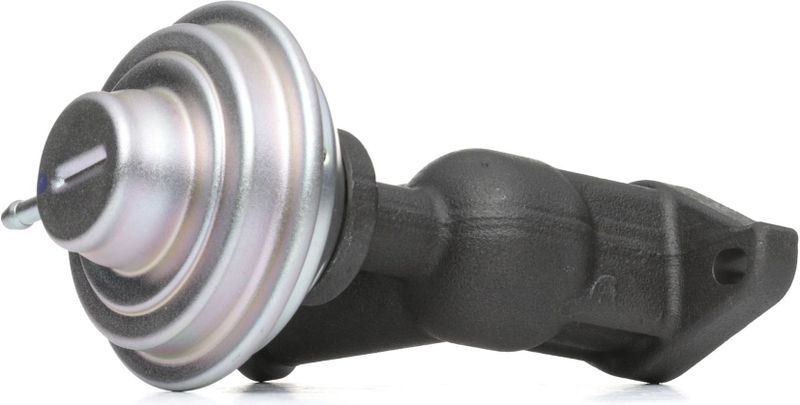 DELPHI - EGR Klep - Voor Fiat, Peugeot, Citroën - EG10423-12B1 - Mechanisch