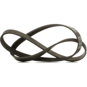 RIDEX PLUS Multiriem VW,OPEL,AUDI 305P0062P 5750XJ,96MF6C301AC,1E0518381 Poly-V-riem,Multi-V-riem,Poly V Snaar 31430015,3470280,55202586,5750GG