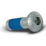 ATE - Schroef - Remschijf - Vooras - Binnen Torx - Bouwjaar vanaf 05/2014