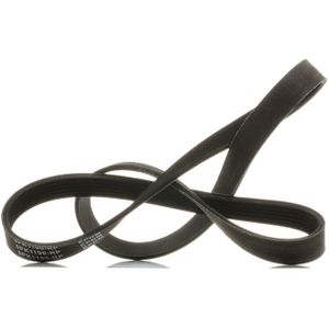 RIDEX PLUS Multiriem VW,BMW,RENAULT 305P0501P EJ328620CA,5750FK,1340A052 Poly-V-riem,Multi-V-riem,Poly V Snaar 38920P8FA04,38920P8FA02,SH0115909