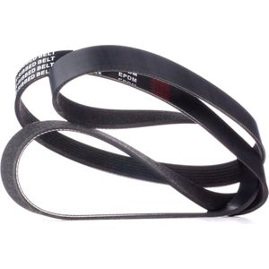 RIDEX Multiriem BMW,SUBARU,LAND ROVER 305P0416 ERR6191,809225020,11287568247 Poly-V-riem,Multi-V-riem,Poly V Snaar 11287570664,11287628652,11287628653