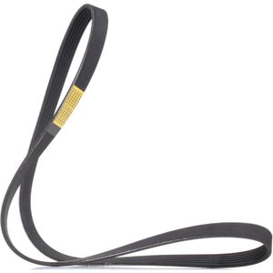 RIDEX Multiriem VW,BMW,RENAULT 305P0501 31110R8AA01,38920P8FA04,8200089047 Poly-V-riem,Multi-V-riem,Poly V Snaar 5750FK,11281710958,11287636362