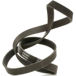 RIDEX PLUS Multiriem VW,MERCEDES-BENZ,OPEL 305P0138P 1015694,95WF6C301AA,95WF6C301CB Poly-V-riem,Multi-V-riem,Poly V Snaar 7700857071,93190310