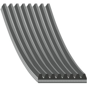 FEBI BILSTEIN Multiriem MERCEDES-BENZ,RENAULT TRUCKS 29061 8PK1444,0009934496,8PK1446 Poly-V-riem,Multi-V-riem,Poly V Snaar 8PK1447,8PK1448,8PK1449