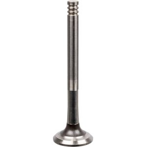 FEBI BILSTEIN Uitlaatklep VW 21008 030109611A,030109611C,30109611A 30109611C