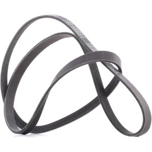 RIDEX PLUS Multiriem VW,OPEL,AUDI 305P0077P 1271828,022145933AP,022145933T Poly-V-riem,Multi-V-riem,Poly V Snaar YS6E6C301AB,1E1115907,97385846