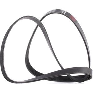 RIDEX PLUS Multiriem VW,OPEL,AUDI 305P0073P 1686231,9180701,044903137G Poly-V-riem,Multi-V-riem,Poly V Snaar BM5Q6C301AB,31330157,11287631818,7008652