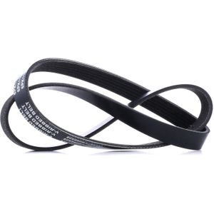 RIDEX Multiriem VW,AUDI,BMW 305P0130 38920PDAE03,119209F610,5750M5 Poly-V-riem,Multi-V-riem,Poly V Snaar 38920P1E003,96152088,96152089,1192031U00