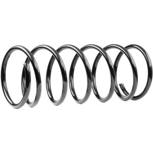 RIDEX Chassisveer PEUGEOT,CITROËN 188C0525 500271,5002RY Veer,Verlagingsveren,Schroefveren,Veren