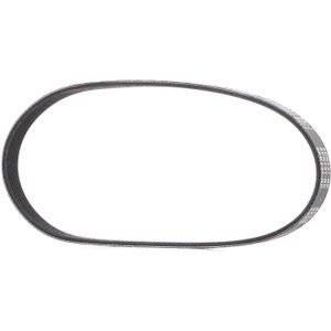 RIDEX PLUS Multiriem VW,AUDI,SKODA 305P0194P 5750C3,036145933AG,96209038 Poly-V-riem,Multi-V-riem,Poly V Snaar K9620903880,030903137K,04E145933C