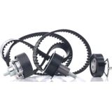 FEBI BILSTEIN Distributieriemset VW,AUDI,SKODA 33913 036198119C,036198119CS1,36198119C