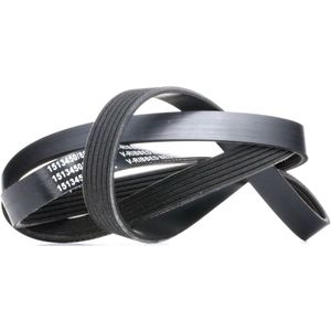 RIDEX Multiriem VW,MERCEDES-BENZ,AUDI 305B0285 96WF6C301BA,9189229,037145933A Poly-V-riem,Multi-V-riem,Poly V Snaar 074145933AD,074145933AR