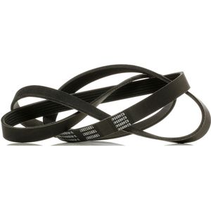 RIDEX PLUS Multiriem OPEL,FORD,BMW 305P0086P 53031118,4961058,1340646 Poly-V-riem,Multi-V-riem,Poly V Snaar 24452029,90541338,6340623,88WF6C301G1A