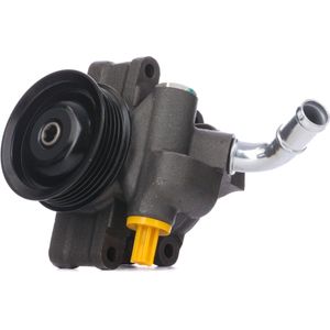 RIDEX Stuurbekrachtigingspomp FORD,MAZDA 12H0170 1227887,2S6C3A696CH,2S6C3A696CK Stuurpomp,Servopomp,Hydraulische pomp, besturing 2S6C3A696CL,4330724