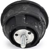 Bmw - Aslichaam-/Motorsteunlager - Delphi Tem127
