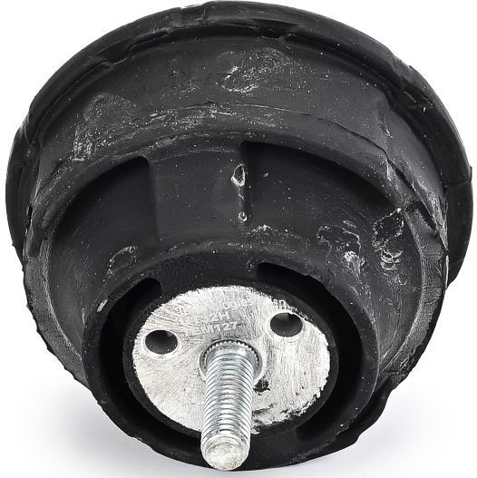 Bmw - Aslichaam-/Motorsteunlager - Delphi Tem127