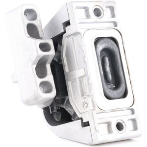 RIDEX Aslichaam- / motorsteunlager VW,AUDI,SKODA 247E0072 1J0199262AA,1J0199262AE,1J0199262AP 1J0199262BF