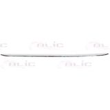 BLIC - 5513-00-0063929P - Sierlijst - Auto
