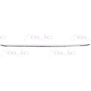 BLIC - 5513-00-0063929P - Sierlijst - Auto