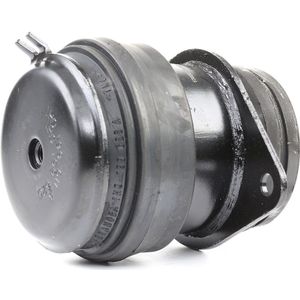 RIDEX Aslichaam- / motorsteunlager VW,SEAT 247E0201 1H0199262B,1H0199262G,1H0199262H Motorsteun,Motorsteun rubber,Motorsteun & Versnellingsbaksteun