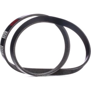 RIDEX Multiriem FIAT,HYUNDAI,TOYOTA 305P0376 46406340,MB958696,MD326780 Poly-V-riem,Multi-V-riem,Poly V Snaar 0K94115908,MD186122,9008091092