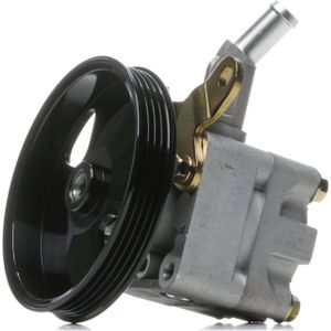 RIDEX Stuurbekrachtigingspomp NISSAN 12H0331 491109F600 Stuurpomp,Servopomp,Hydraulische pomp, besturing
