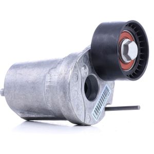 INA - Spanner - Poly V-riem - Buitendiameter 55 mm - Breedte 29 mm - Voor BMW