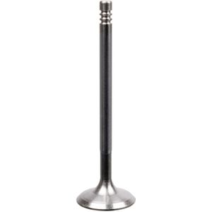 FEBI BILSTEIN Inlaatklep FIAT,ALFA ROMEO,LANCIA 22060 60811153,7766564