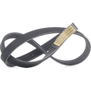 RIDEX Multiriem BMW 305P0373 7794070,11287794070 Poly-V-riem,Multi-V-riem,Poly V Snaar