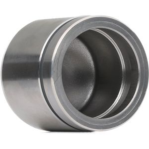 RIDEX Zuiger, remklauw VW,BMW 2248P0047