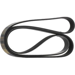 RIDEX PLUS Multiriem OPEL,FORD,BMW 305P0466P 88WF6C301G1A,90502735,91126385 Poly-V-riem,Multi-V-riem,Poly V Snaar 9201850,55582735,1340646,30621318