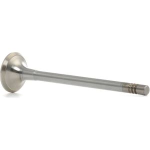 FAI AutoParts Uitlaatklep OPEL,CHEVROLET,SAAB EV95159 4817388,96951455