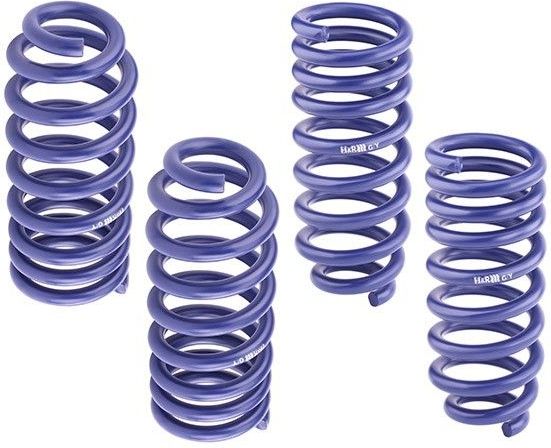 H&R Chassis, veren SUZUKI 29562-1