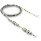 DELPHI Sensoren OPEL,VAUXHALL TS30024 55566621,5855376 Sensor, uitlaatgastemperatuur