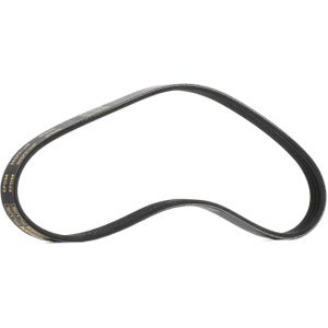 RIDEX PLUS Multiriem FIAT,PEUGEOT,CITROËN 305P0166P 575055,5750G8,5750SQ Poly-V-riem,Multi-V-riem,Poly V Snaar 91536222,93502487,46787904,MD189130