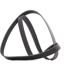 RIDEX PLUS Multiriem BMW,NISSAN,HONDA 305P0492P 11287565361,11287631824,38920RSRAE020 Poly-V-riem,Multi-V-riem,Poly V Snaar 38920RSRE02,11720VS40A