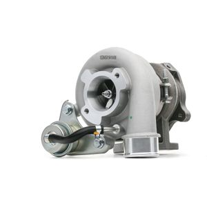 RIDEX Turbocharger TOYOTA 2234C10566 1720167010,T809A52 Turbolader,Turbocompressor,Turbocharger