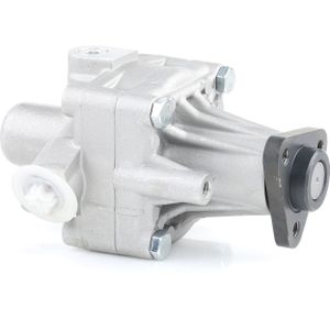 RIDEX Stuurbekrachtigingspomp VW,AUDI 12H0031 8D0145155L,8D0145156A,8D0145156M Stuurpomp,Servopomp,Hydraulische pomp, besturing 8D0145156X,8D0145156
