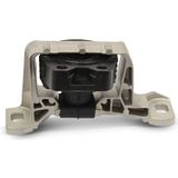 DELPHI Aslichaam- / motorsteunlager VW,AUDI,SKODA TEM122 1K0199867,1K0199867A,1K0199867AJ 1K0199867P,1K0199867B,1K0199867Q,1K0199867C,1K0199867T