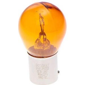 BOSCH Gloeilamp VW,MERCEDES-BENZ,FORD 1 987 302 703 81259010102,1510155000,18117791 0002396401,2396401,N000000000065,ZF259010102,2121501048