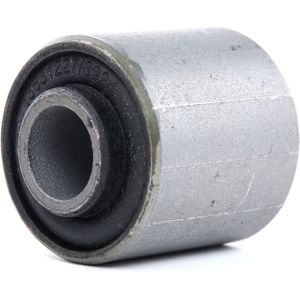 RIDEX Aslichaam- / motorsteunlager FIAT,PEUGEOT,CITROËN 247E0119 180906,9120117580,180610 180614,180616,180904