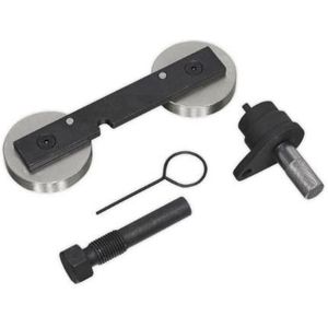 SEALEY Afregelgereedschapset, motormanagment VW,AUDI,SKODA VSE5950 T10171A,T10340,T10414 T40011