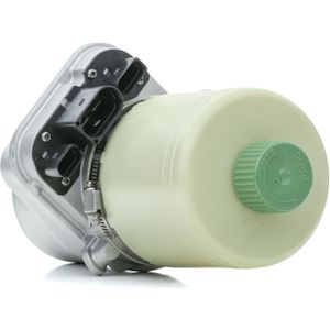 RIDEX Stuurbekrachtigingspomp VW,SKODA,SEAT 12H0166 6Q0423155AJ,6Q0423155AL,6Q0423155AM Stuurpomp,Servopomp,Hydraulische pomp, besturing 6Q0423156R