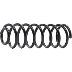 RIDEX Chassisveer FIAT,PEUGEOT,CITROËN 188C0601 1477217080,5102C3 Veer,Verlagingsveren,Schroefveren,Veren