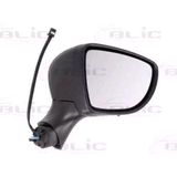 BLIC - 5402-09-2002126P - Autospiegel